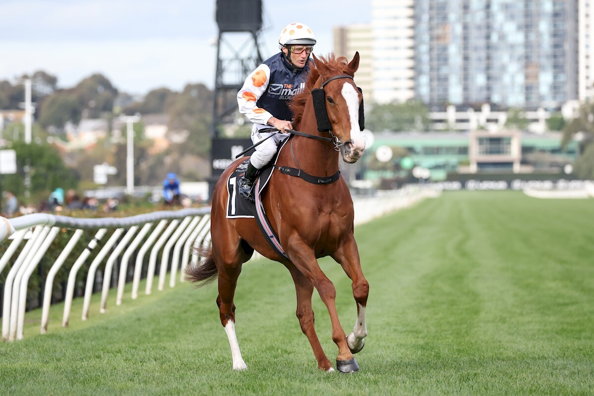 Flemington Racecourse Hub: Tips, Form Guide and Race Analysis